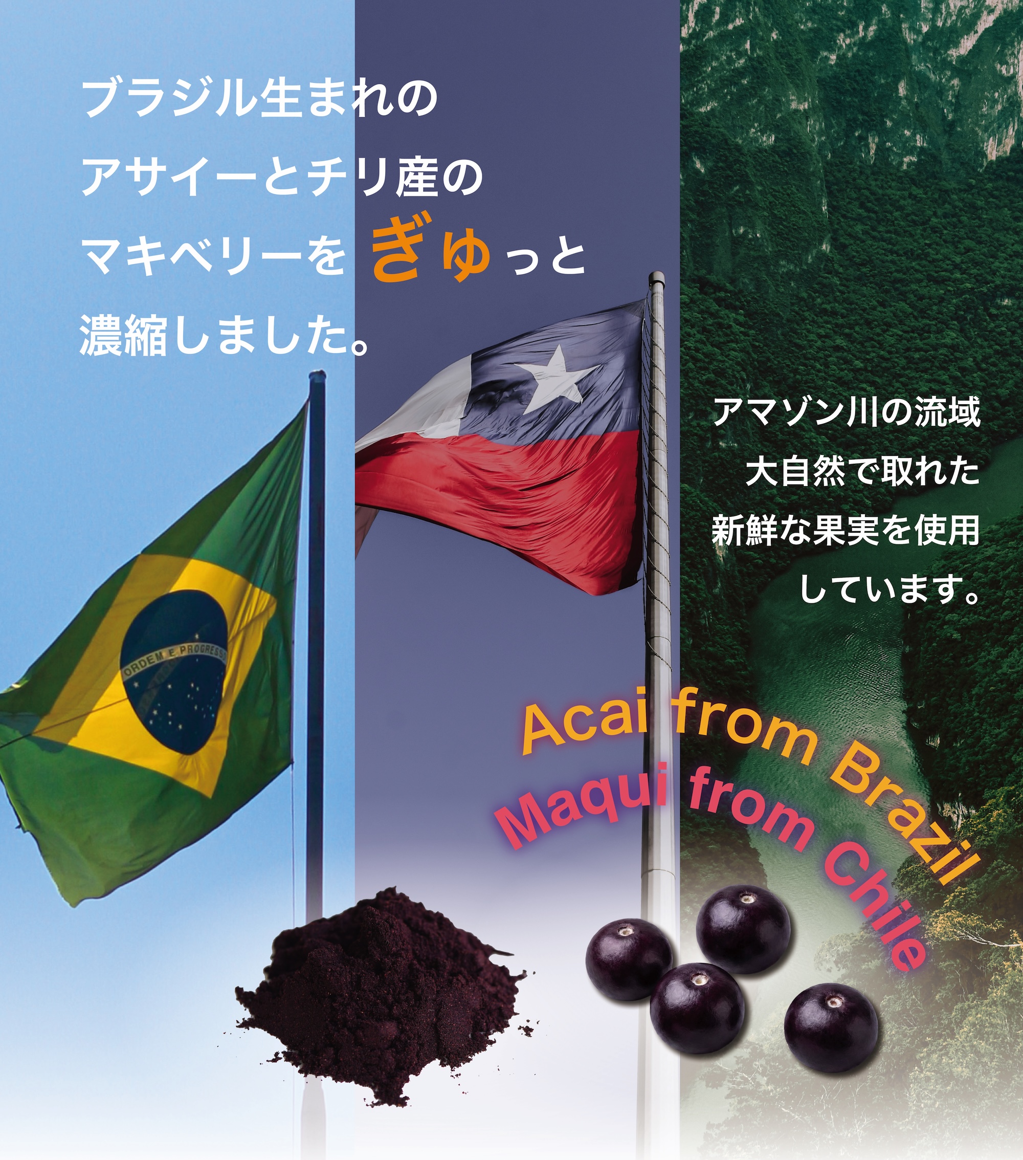 アサイー&マキベリーパウダー 50g - 画像 (2)