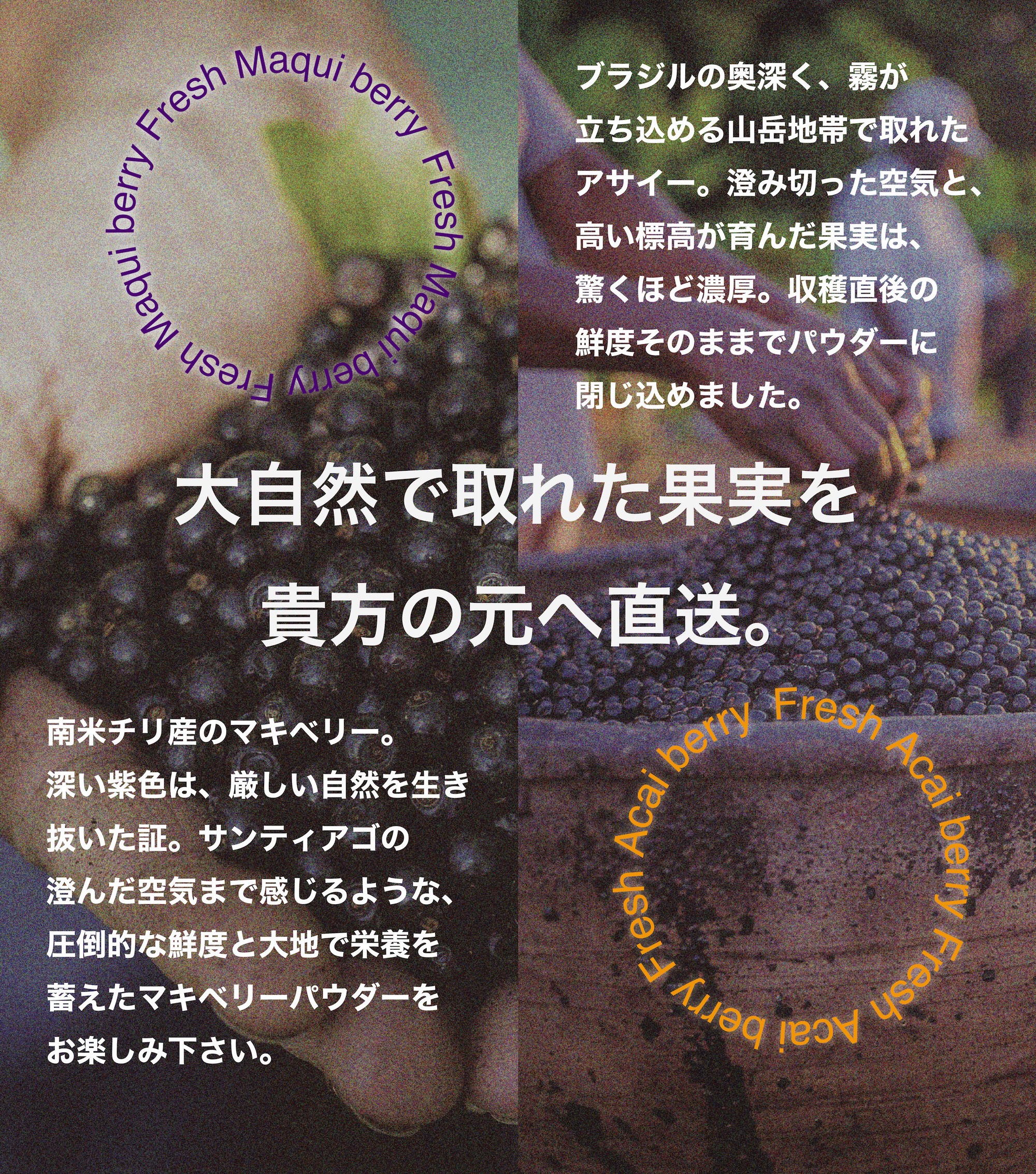 アサイー&マキベリーパウダー 50g - 画像 (5)