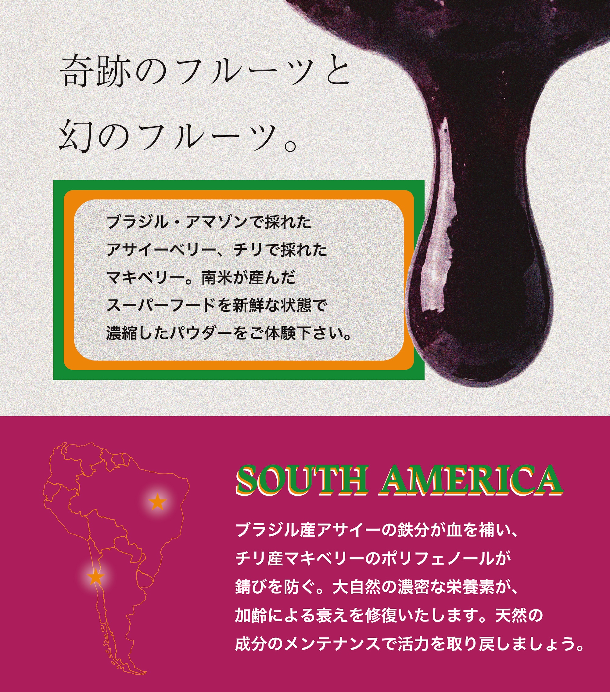 アサイー&マキベリーパウダー 50g - 画像 (8)