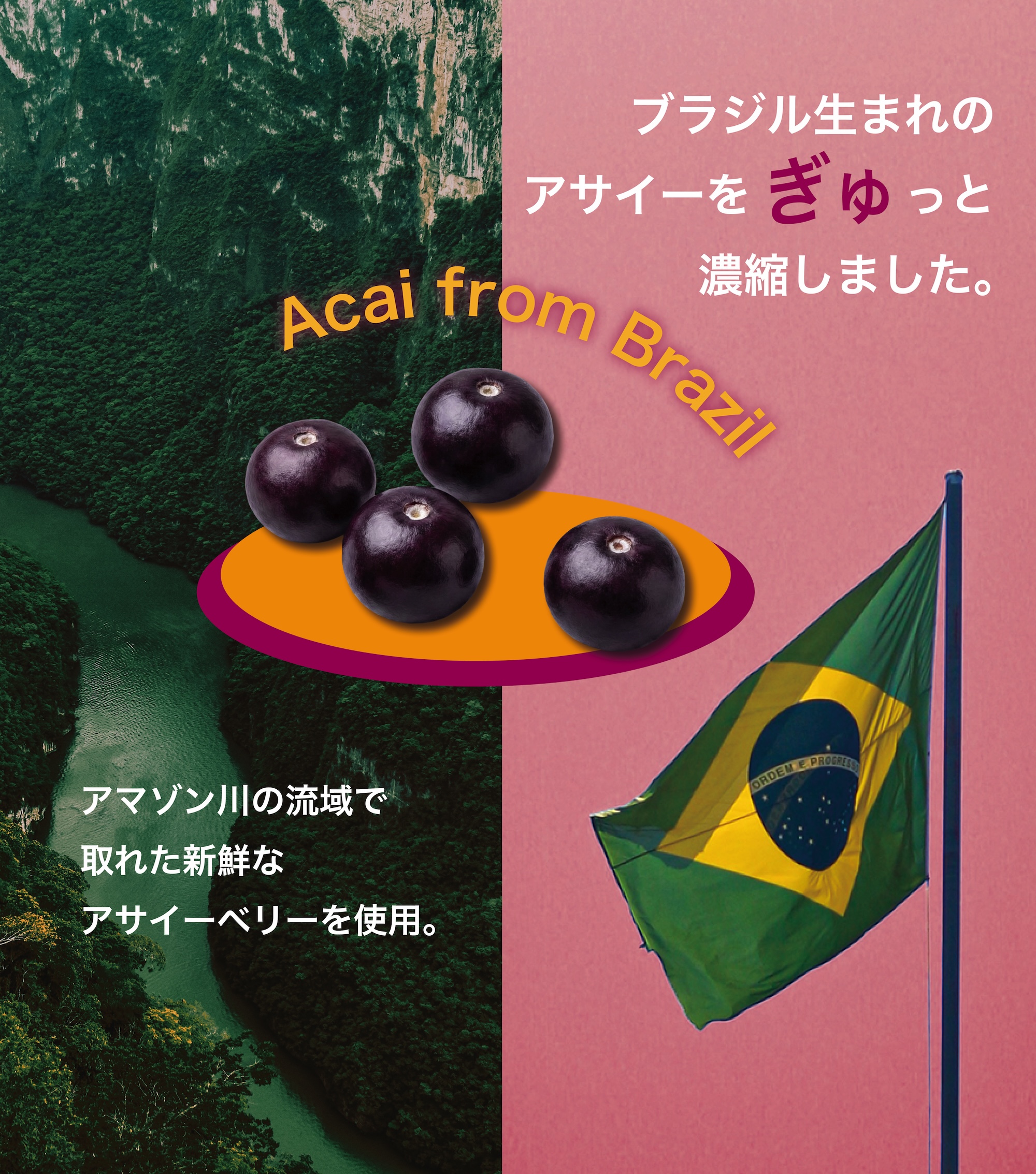 アサイーパウダー 50g - 画像 (2)